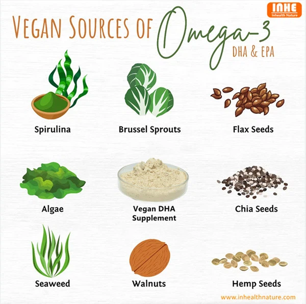 Vegan Sources of Omega 3-DHA & EPA