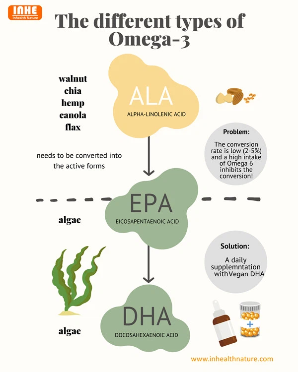 The Different Types of Omega 3
