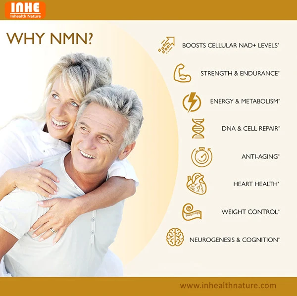 Why Should I Take NMN Supplement