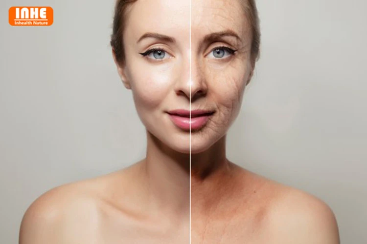 Can NMN Reverse Aging