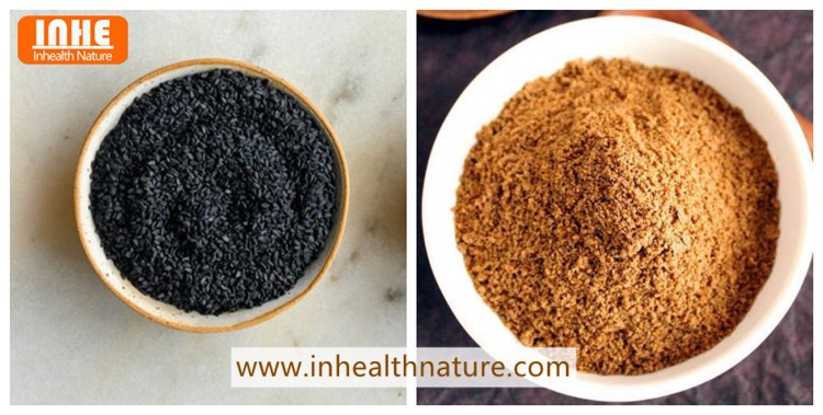 Sesame and Sesame Seed Extract Powder