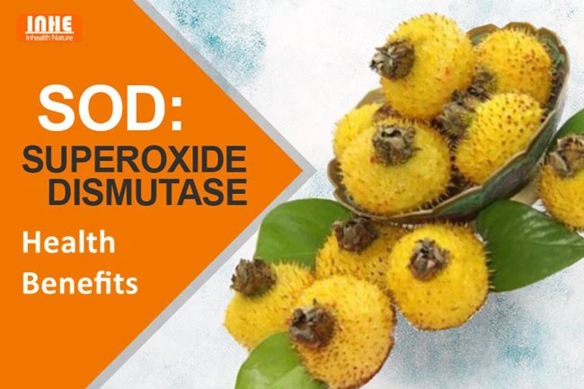 Superoxide Dismutase Powder Health Benefits