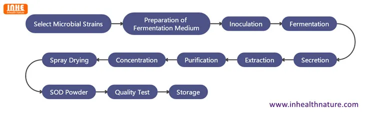 Superoxide Dismutase Powder Flow Chart