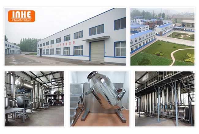 product-650-437 Our Factory