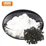 Prašak ekstrakta bobica Saw Palmetto