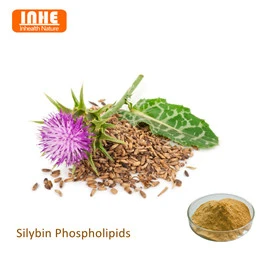 Kako silibin fosfolipidi smanjuju rizik od kardiovaskularnih bolesti?